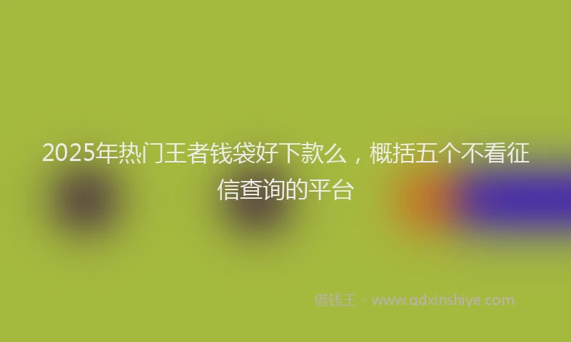 2025年热门王者钱袋好下款么，概括五个不看征信查询的平台