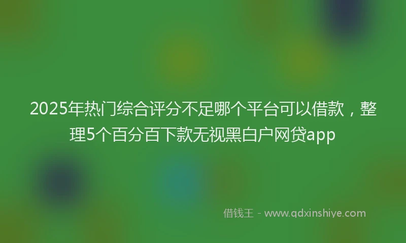 2025年热门综合评分不足哪个平台可以借款，整理5个百分百下款无视黑白户网贷app