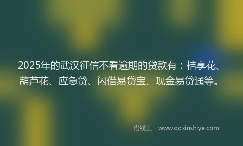 2025年的武汉征信不看逾期的贷款有：桔享花、葫芦花、应急贷、闪借易贷宝、现金易贷通等。