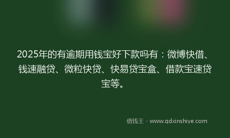 2025年的有逾期用钱宝好下款吗有：微博快借、钱速融贷、微粒快贷、快易贷宝盒、借款宝速贷宝等。
