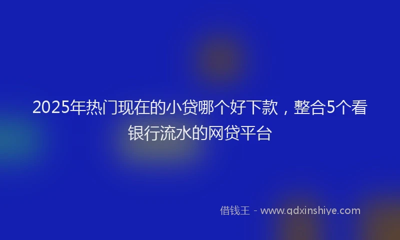2025年热门现在的小贷哪个好下款，整合5个看银行流水的网贷平台