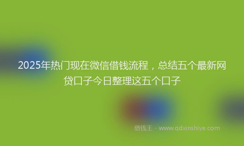 2025年热门现在微信借钱流程，总结五个最新网贷口子今日整理这五个口子
