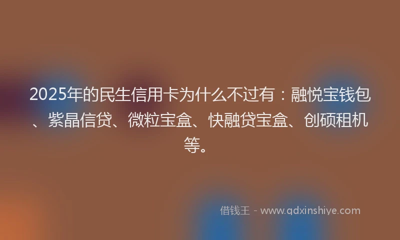 2025年的民生信用卡为什么不过有：融悦宝钱包、紫晶信贷、微粒宝盒、快融贷宝盒、创硕租机等。