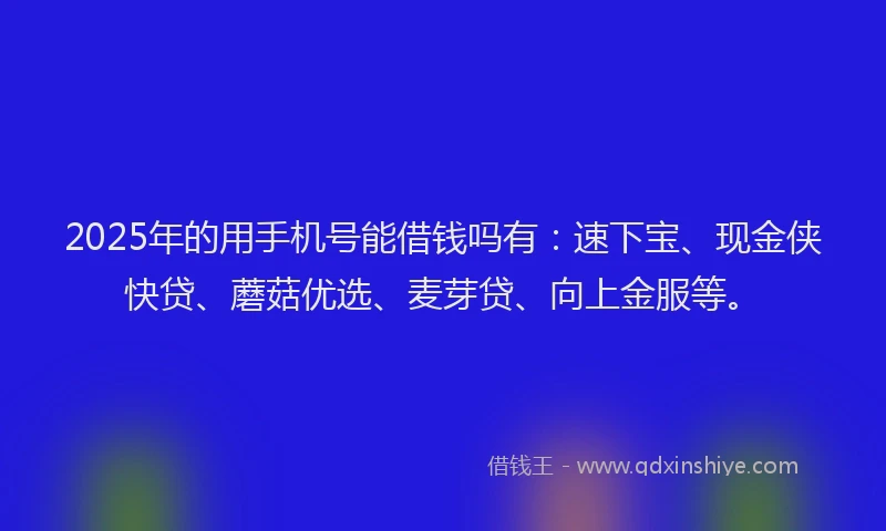 2025年的用手机号能借钱吗有：速下宝、现金侠快贷、蘑菇优选、麦芽贷、向上金服等。