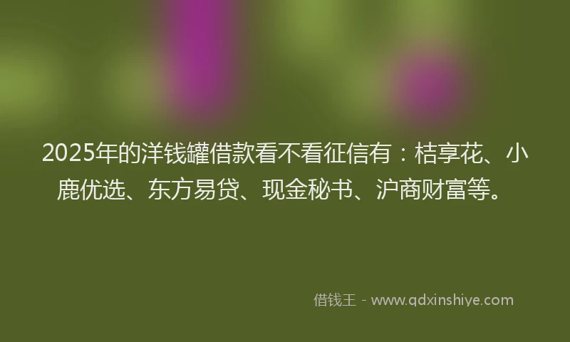 2025年的洋钱罐借款看不看征信有：桔享花、小鹿优选、东方易贷、现金秘书、沪商财富等。