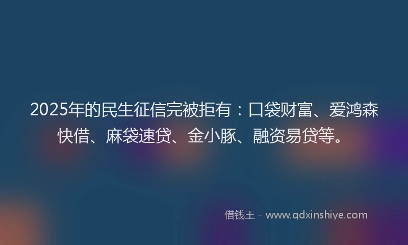 2025年的民生征信完被拒有：口袋财富、爱鸿森快借、麻袋速贷、金小豚、融资易贷等。