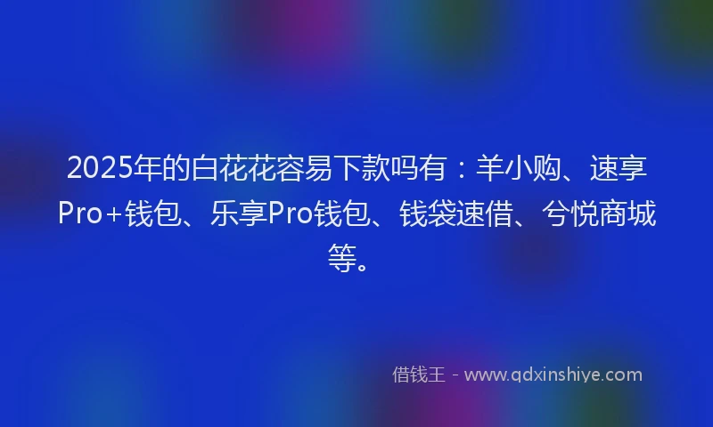 2025年的白花花容易下款吗有：羊小购、速享Pro+钱包、乐享Pro钱包、钱袋速借、兮悦商城等。