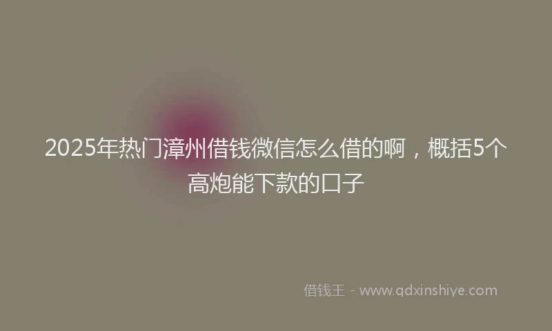 2025年热门漳州借钱微信怎么借的啊，概括5个高炮能下款的口子