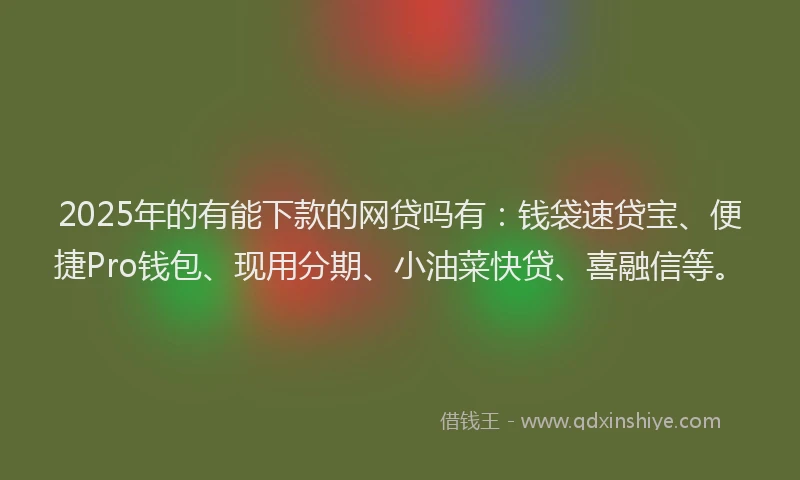 2025年的有能下款的网贷吗有：钱袋速贷宝、便捷Pro钱包、现用分期、小油菜快贷、喜融信等。