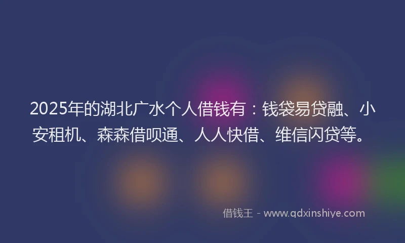 2025年的湖北广水个人借钱有：钱袋易贷融、小安租机、森森借呗通、人人快借、维信闪贷等。