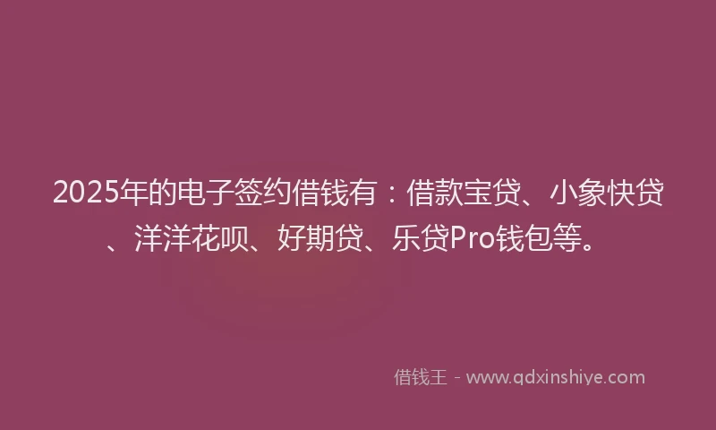 2025年的电子签约借钱有：借款宝贷、小象快贷、洋洋花呗、好期贷、乐贷Pro钱包等。