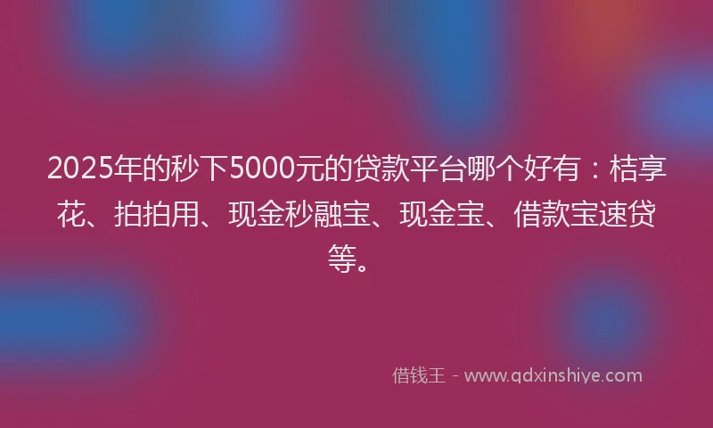 2025年的秒下5000元的贷款平台哪个好有：桔享花、拍拍用、现金秒融宝、现金宝、借款宝速贷等。