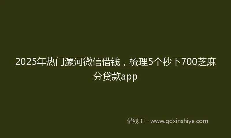 2025年热门漯河微信借钱，梳理5个秒下700芝麻分贷款app