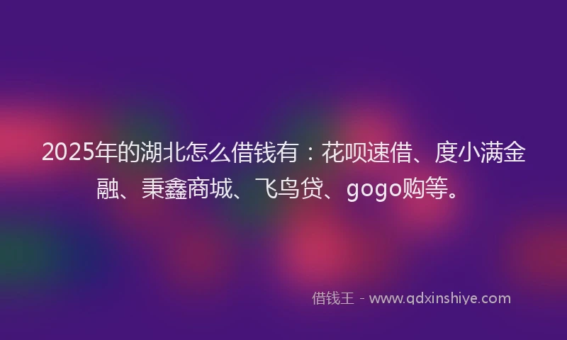 2025年的湖北怎么借钱有：花呗速借、度小满金融、秉鑫商城、飞鸟贷、gogo购等。