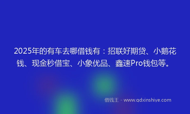 2025年的有车去哪借钱有：招联好期贷、小鹅花钱、现金秒借宝、小象优品、鑫速Pro钱包等。