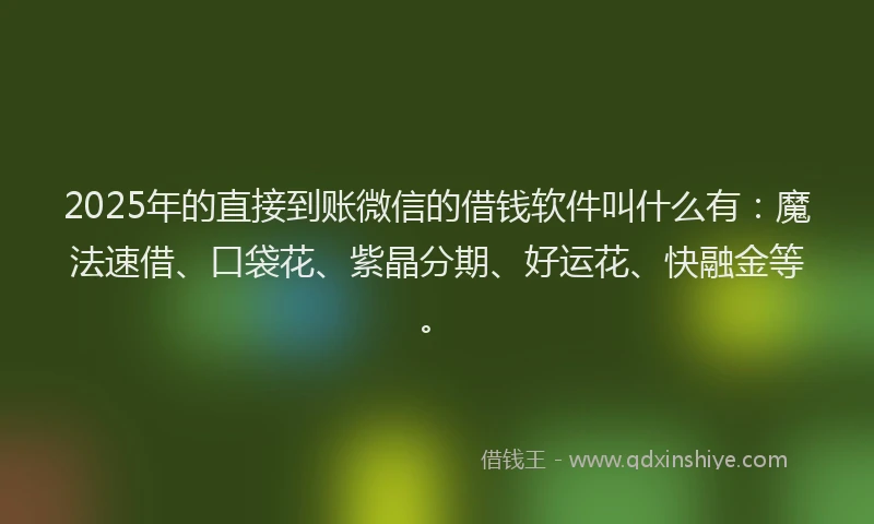 2025年的直接到账微信的借钱软件叫什么有：魔法速借、口袋花、紫晶分期、好运花、快融金等。