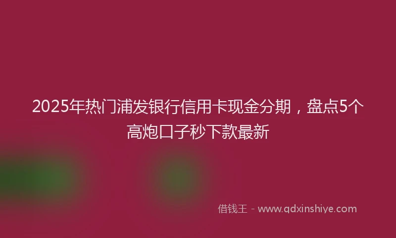 2025年热门浦发银行信用卡现金分期，盘点5个高炮口子秒下款最新