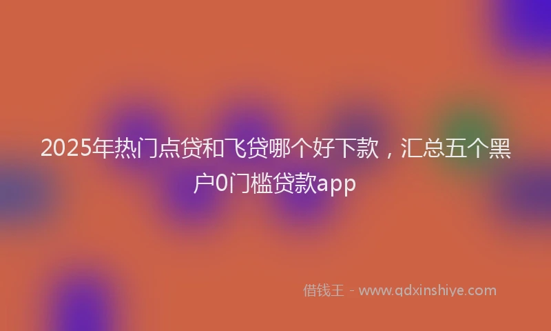 2025年热门点贷和飞贷哪个好下款，汇总五个黑户0门槛贷款app