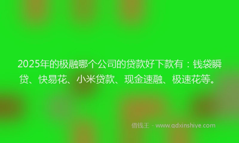 2025年的极融哪个公司的贷款好下款有：钱袋瞬贷、快易花、小米贷款、现金速融、极速花等。