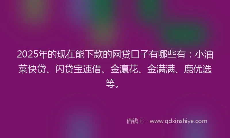 2025年的现在能下款的网贷口子有哪些有：小油菜快贷、闪贷宝速借、金瀛花、金满满、鹿优选等。