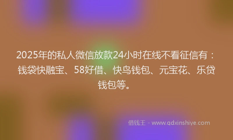 2025年的私人微信放款24小时在线不看征信有：钱袋快融宝、58好借、快鸟钱包、元宝花、乐贷钱包等。