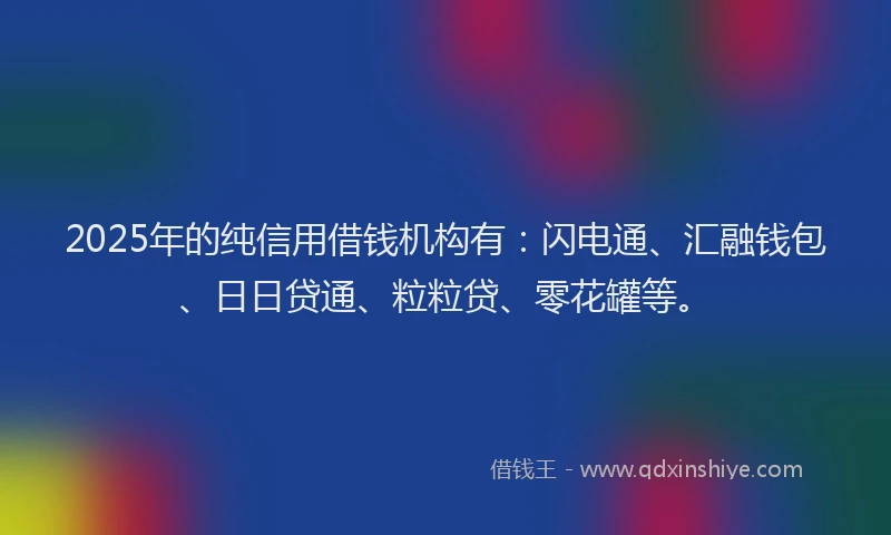 2025年的纯信用借钱机构有：闪电通、汇融钱包、日日贷通、粒粒贷、零花罐等。