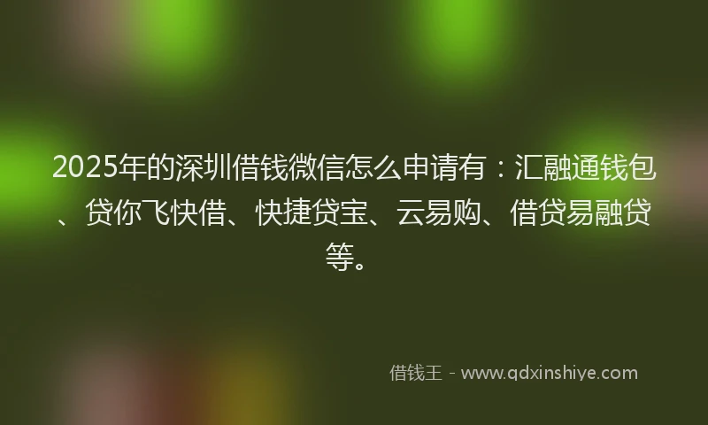 2025年的深圳借钱微信怎么申请有：汇融通钱包、贷你飞快借、快捷贷宝、云易购、借贷易融贷等。