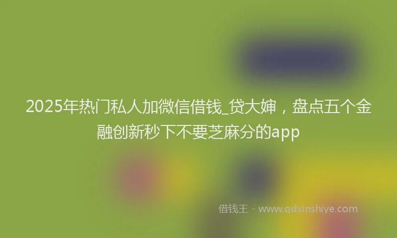 2025年热门私人加微信借钱_贷大婶，盘点五个金融创新秒下不要芝麻分的app