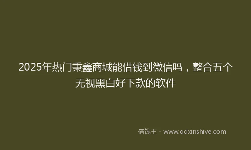 2025年热门秉鑫商城能借钱到微信吗，整合五个无视黑白好下款的软件