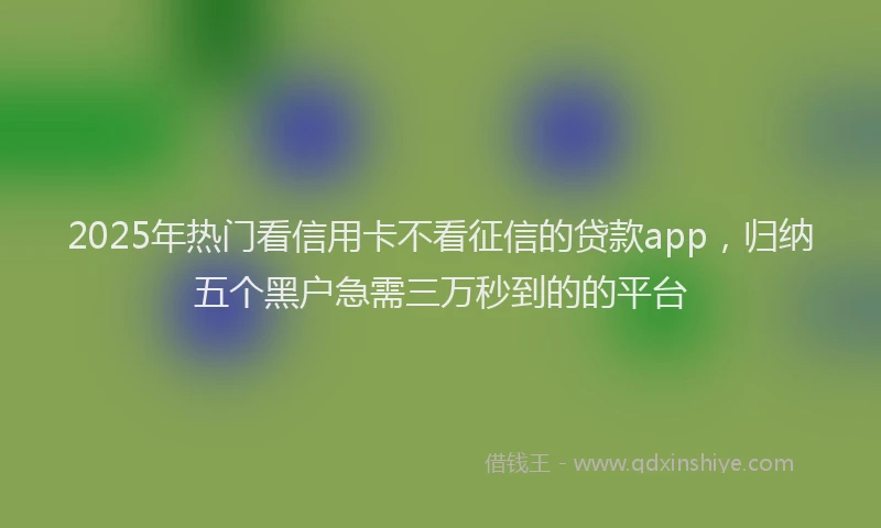 2025年热门看信用卡不看征信的贷款app，归纳五个黑户急需三万秒到的的平台