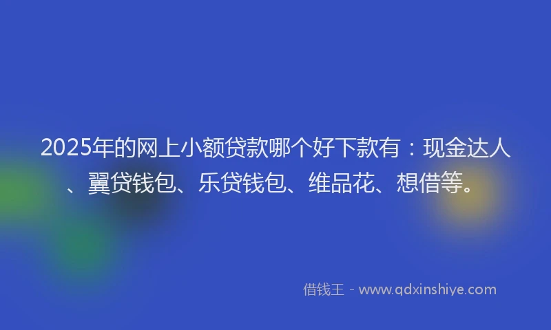 2025年的网上小额贷款哪个好下款有：现金达人、翼贷钱包、乐贷钱包、维品花、想借等。