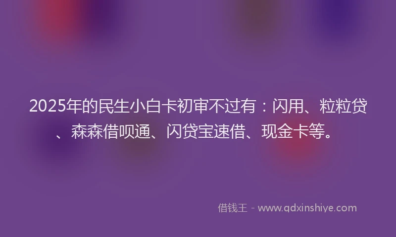 2025年的民生小白卡初审不过有：闪用、粒粒贷、森森借呗通、闪贷宝速借、现金卡等。