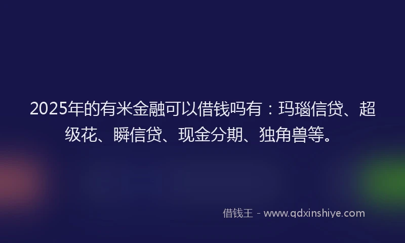 2025年的有米金融可以借钱吗有：玛瑙信贷、超级花、瞬信贷、现金分期、独角兽等。