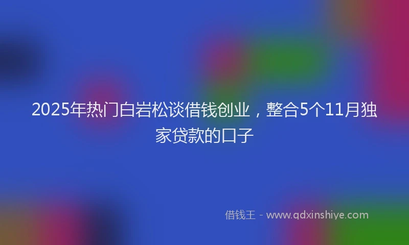 2025年热门白岩松谈借钱创业，整合5个11月独家贷款的口子