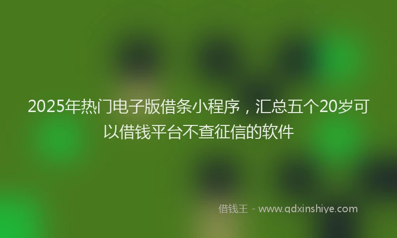 2025年热门电子版借条小程序，汇总五个20岁可以借钱平台不查征信的软件