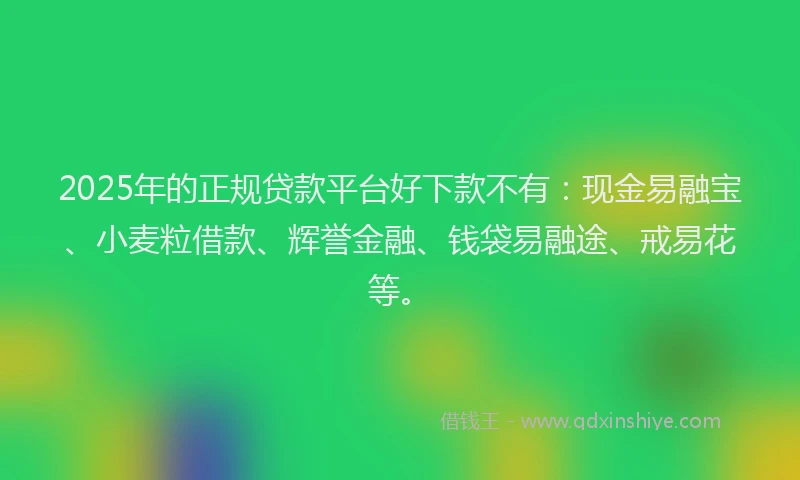 2025年的正规贷款平台好下款不有：现金易融宝、小麦粒借款、辉誉金融、钱袋易融途、戒易花等。