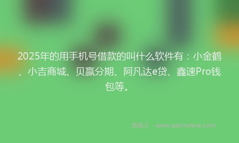 2025年的用手机号借款的叫什么软件有：小金鹤、小吉商城、贝赢分期、阿凡达e贷、鑫速Pro钱包等。