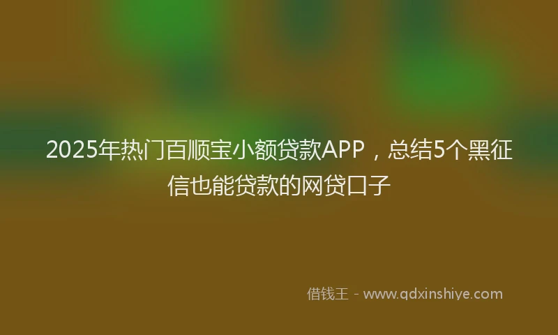 2025年热门百顺宝小额贷款APP，总结5个黑征信也能贷款的网贷口子
