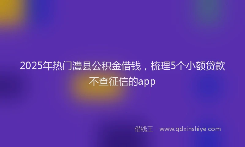 2025年热门澧县公积金借钱，梳理5个小额贷款不查征信的app