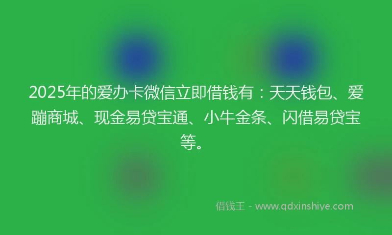 2025年的爱办卡微信立即借钱有：天天钱包、爱蹦商城、现金易贷宝通、小牛金条、闪借易贷宝等。