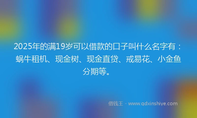 2025年的满19岁可以借款的口子叫什么名字有：蜗牛租机、现金树、现金直贷、戒易花、小金鱼分期等。