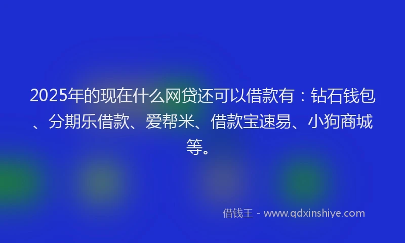 2025年的现在什么网贷还可以借款有：钻石钱包、分期乐借款、爱帮米、借款宝速易、小狗商城等。