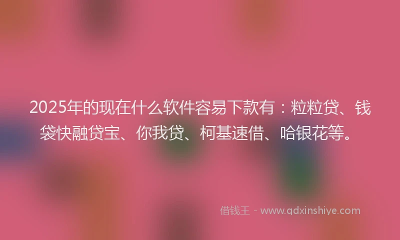 2025年的现在什么软件容易下款有：粒粒贷、钱袋快融贷宝、你我贷、柯基速借、哈银花等。