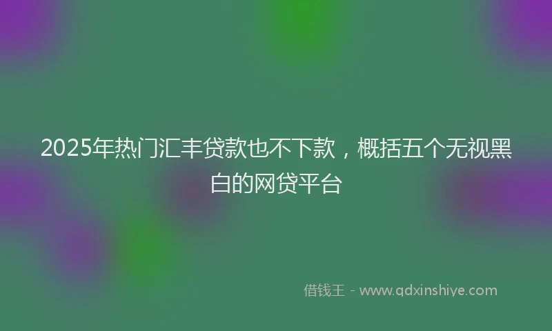 2025年热门汇丰贷款也不下款，概括五个无视黑白的网贷平台