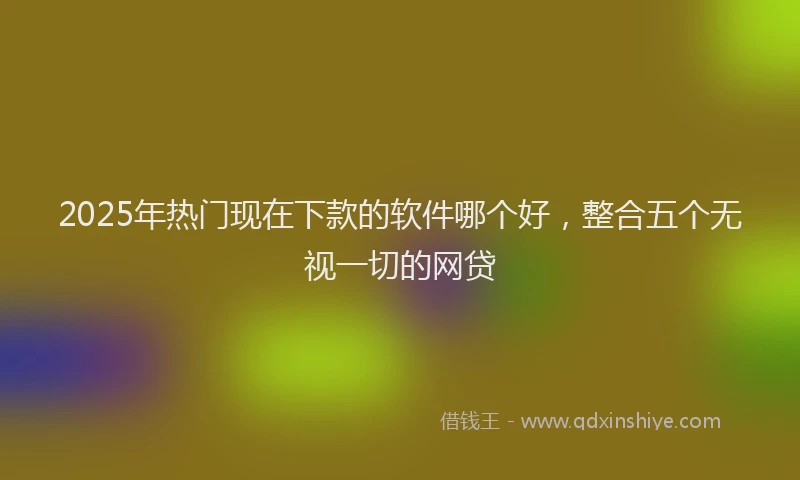 2025年热门现在下款的软件哪个好，整合五个无视一切的网贷