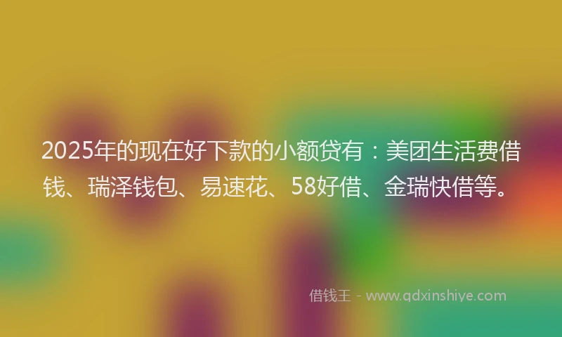 2025年的现在好下款的小额贷有：美团生活费借钱、瑞泽钱包、易速花、58好借、金瑞快借等。