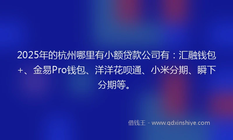 2025年的杭州哪里有小额贷款公司有：汇融钱包+、金易Pro钱包、洋洋花呗通、小米分期、瞬下分期等。