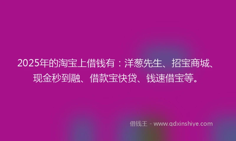 2025年的淘宝上借钱有：洋葱先生、招宝商城、现金秒到融、借款宝快贷、钱速借宝等。