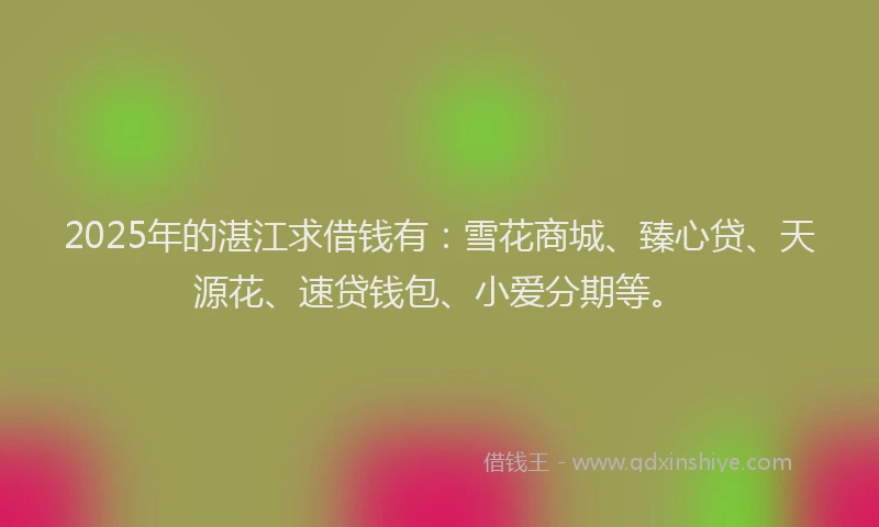 2025年的湛江求借钱有：雪花商城、臻心贷、天源花、速贷钱包、小爱分期等。