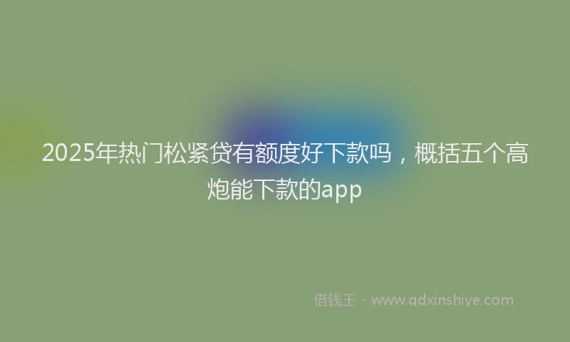 2025年热门松紧贷有额度好下款吗，概括五个高炮能下款的app